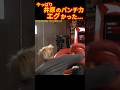 口だけじゃない井原のパンチ力！#ブレイキングダウン14 ＃井原良太郎#冨澤大智#shorts