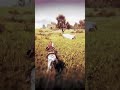 Red Dead Redmeption 2 - No tolerance dude