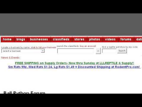 camera iphone 8 plus apk How-To Breed Female Pastel Pythons To Normal Male Ball Pythons