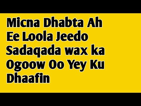 Micnaha Saxda Ah Ee Loolajeedo Sadaqada Waa Cajiib Ee yey Ku Dhaafin