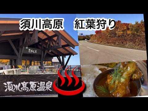 ⭐︎133   温泉とスパイシーカレーの日帰り旅