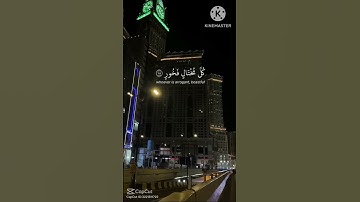 القرآن الكريم/راحة نفسية: