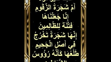 سورة الصّافّات 62-65@ismailsoorambail