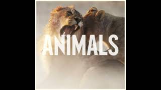 Maroon 5  Animals  