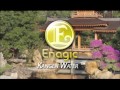 Enagic company - The Gold Standard