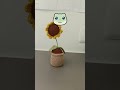 cat sunflower