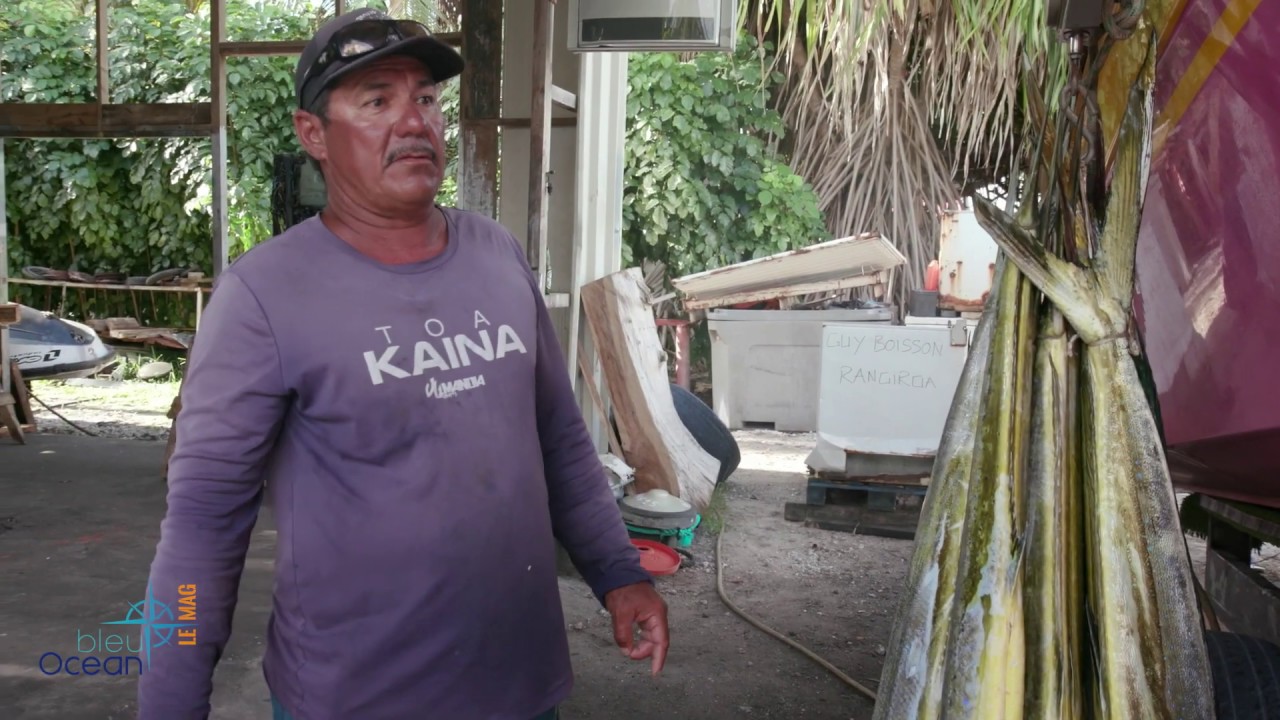 Emission 1  Le mahi-mahi, une pêche spectaculaire