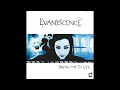 Evanescence - Bring Me To Life (Sartori edit)