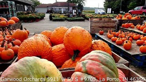 Garwood Orchards of La Porte Indiana Huge Stunning...