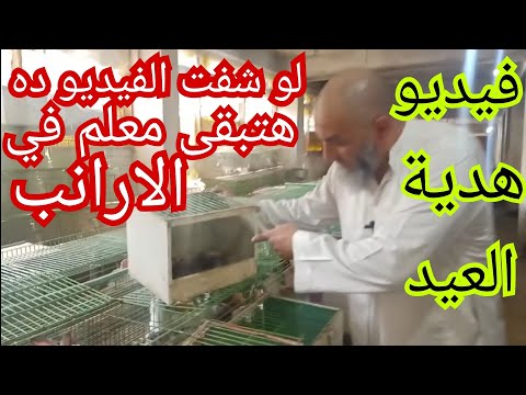 الام ولدت جميع طرق التعامل مع الام بعد الولاده من يوم لسلاله