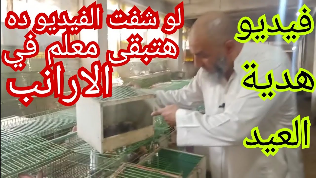 الام ولدت جميع طرق التعامل مع الام بعد الولاده من يوم لسلاله