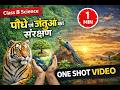CLASS 8th CHAPTER 5 ONE SHORT 🤫 | SCIENCE | HINDI MIDIUM