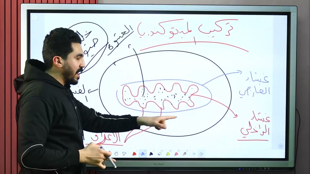 شرح التنفس الخلوي ( العمليات الحيوية في الغلاف الحيوي ) علوم متكاملة الصف الأول الثانوي 🌍🌿