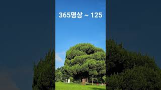 뇌에게 만만하게 보이지 마라