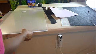Dog Nail Trims - YouTube