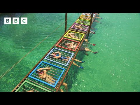 INSANE underwater cage challenge: last to leave could lose £100,0000! 🔥 - BBC