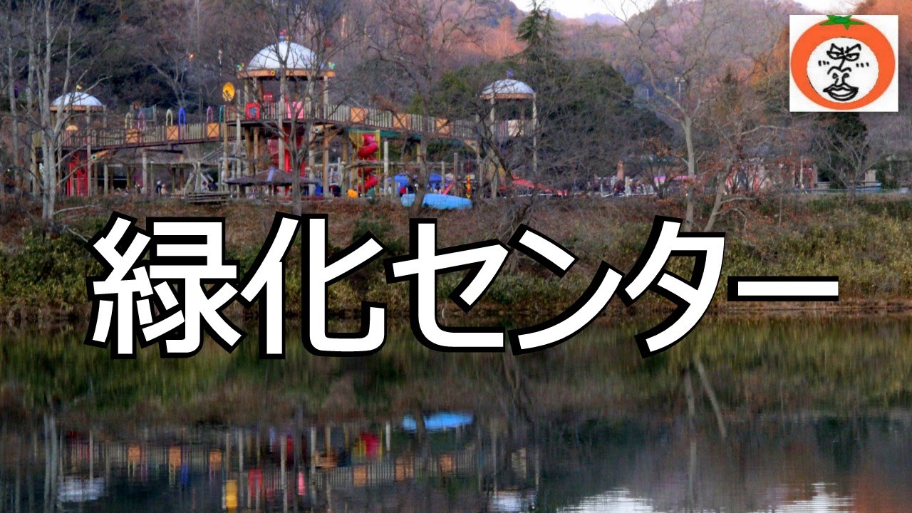 和歌山県植物公園緑花センター 公園 うろうろ和歌山 和歌山県 岩出市 根来山げんきの森倶楽部 Youtube 和歌山県植物公園緑花センター 公園 うろうろ和歌山 和歌山県 岩出市 根来山げんきの森倶楽部 Youtube