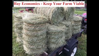 HayNomics - Small-Scale Hay Farm Viability by 8th Day Chronicles 494 views 6 months ago 16 minutes