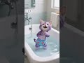baby cat story #toonbangla