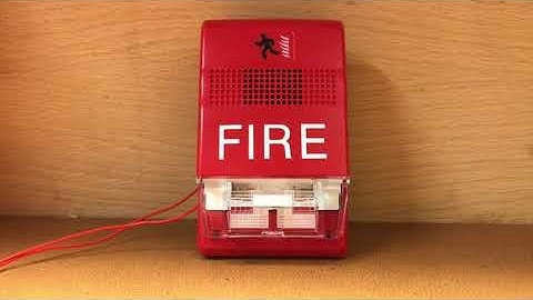 EST Genesis - Temporal 3 (Code 3)