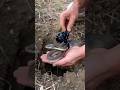 King Cobra Underground POV 🐍⚡ | Inside a Snake’s Burrow | Real Wildlife Experience