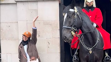 Out of the box.  She poses with her hand in the air, Horse scares her away. 