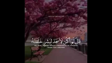 القارئ هزاع البلوشي{ قال يا إبليس مالك ألا تكون مع الساجدين } حالات واتساب قرآن كريم