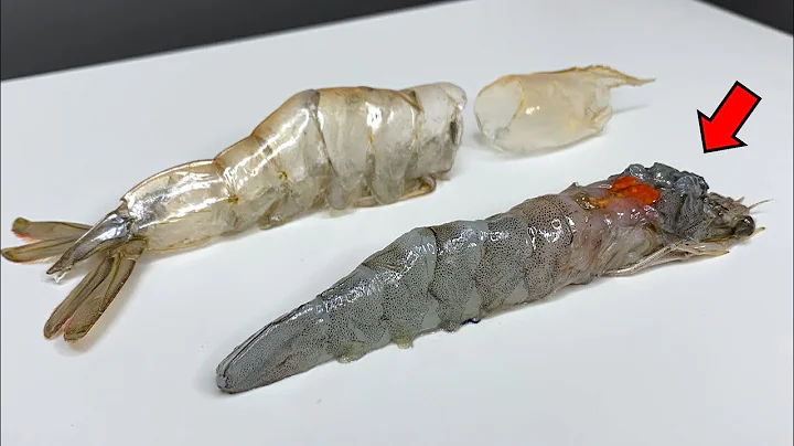 Why Shrimps Look Like Insects?! - Shrimp Dissection - DayDayNews