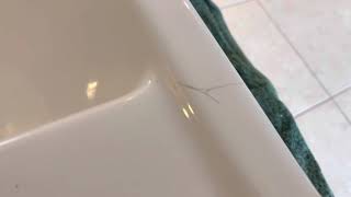 Damaged Duravit Sink