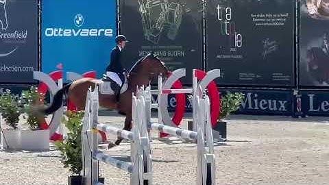 251022e  KHEOPS HERO jump off 7y old GP