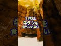 仙台市民あるある10選!
