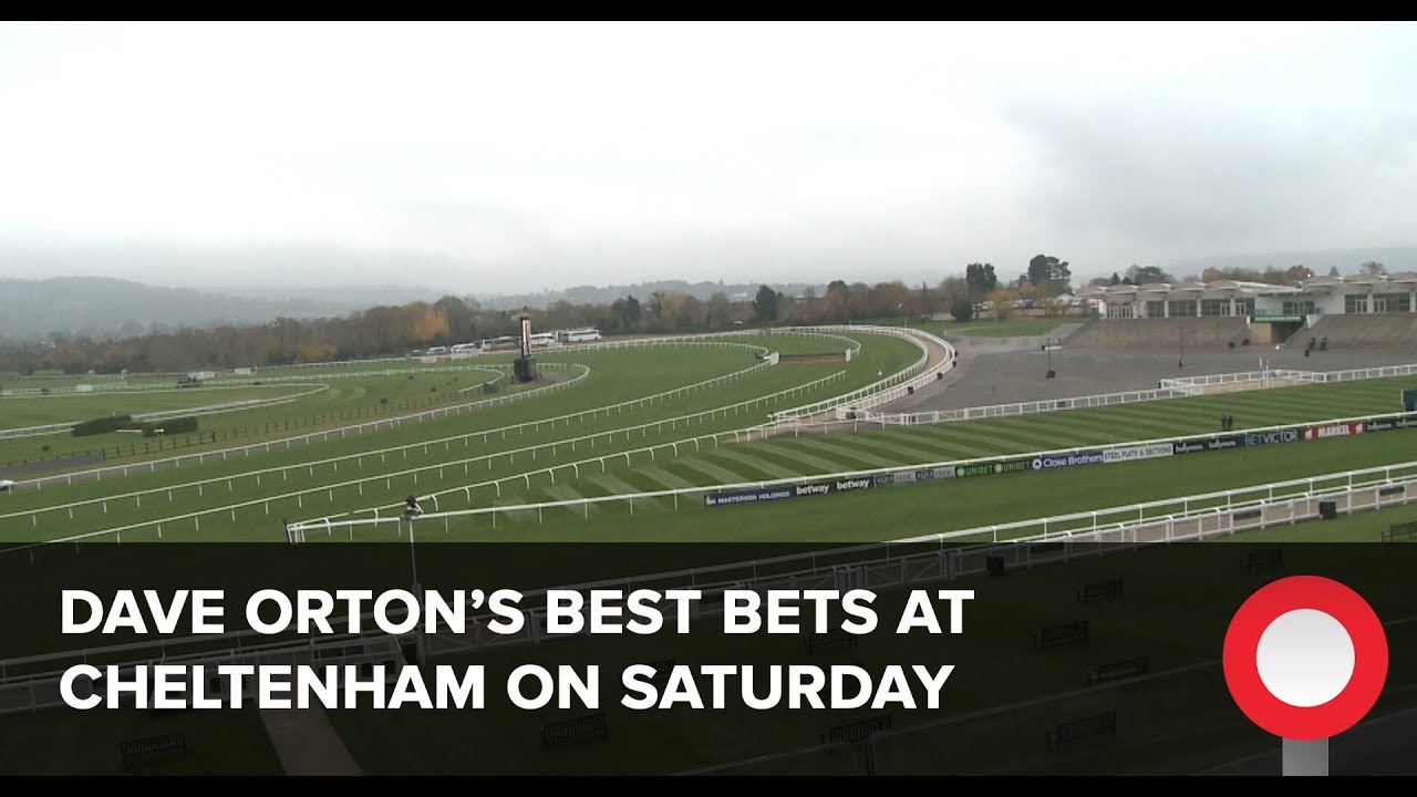 ascot racecourse wiki Cheltenham November Meeting: Dave Orton's best bets for Saturday
