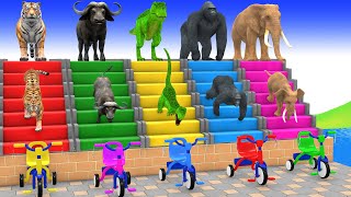 Long Slide Game with Cow Elephant Gorilla Hippopotamus Tiger 3d Animal Game Funny 3d Animals screenshot 2