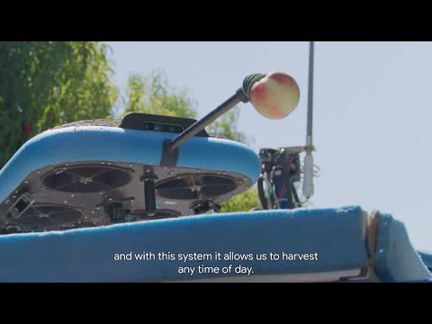 The Future of Harvesting: Fruit-Picking Flying Autonomous Robots™ by Tevel | HMC Farms Success Story
