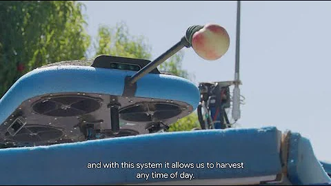 The Future of Harvesting: Fruit-Picking Flying Autonomous Robots™ by Tevel | HMC Farms Success Story