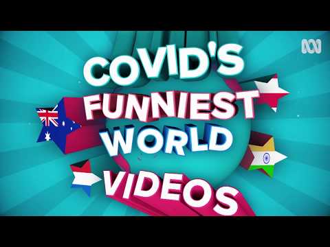 COVID's Funniest Videos