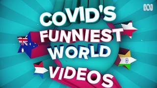 COVID's Funniest Videos