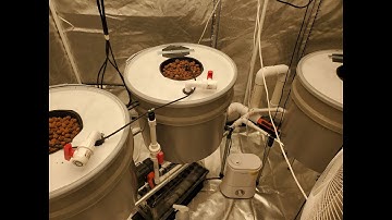 Modular RDWC for Perpetual Grow: Part 2, The Veg Tent System