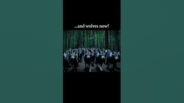 wolves rust #shorts #memes #rust #cold #phonk