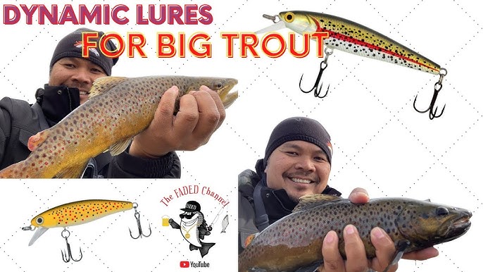 Dynamic Lures HD Trout - Gold Orange