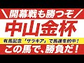 中山金杯 2021【予想】有馬記念からの連勝へ!2つの好走条件が導いた「予告の軸馬」とは?!