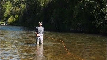 Fly Casting 101: The Pick Up and Lay Down