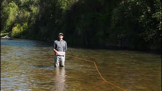 Fly Casting 101: The Pick Up and Lay Down