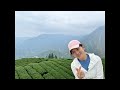 好茶分享～阿里山樟樹湖春茶一斤2400元、杉林溪番仔田春茶一斤2200元 訂購專線☎️0962-039-999