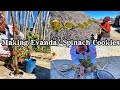 How We Preserve Our Food In The Village | Making Evanda with Grandmother | Tradition