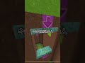 10個以上当てはまったら天才#マイクラ#マインクラフト #minecraft #minecraftshorts #shortsvideo #shortsfeed #shorts