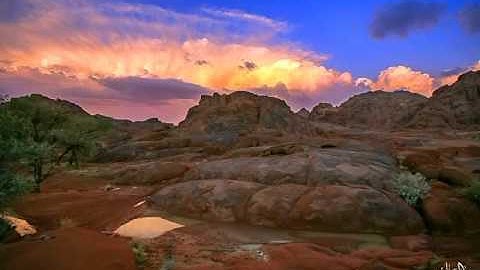 تلاوة طيبة تبعث الطمأنينة والراحة  في النفس