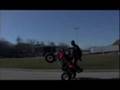 Wildout wheelie boyz