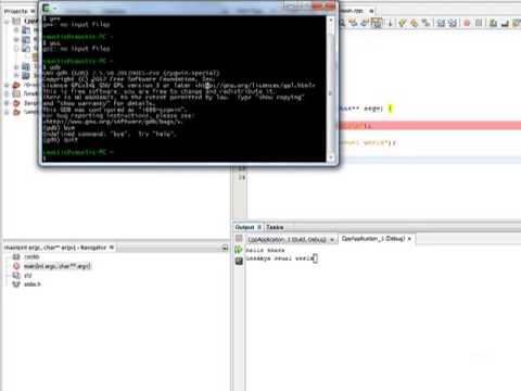 demo of debugging in C++  with Netbeans on Windows and Cygwin Linux like tool.mp4