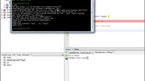 demo of debugging in C++  with Netbeans on Windows and Cygwin Linux like tool.mp4